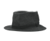 Hermes Fedora Hat, front view